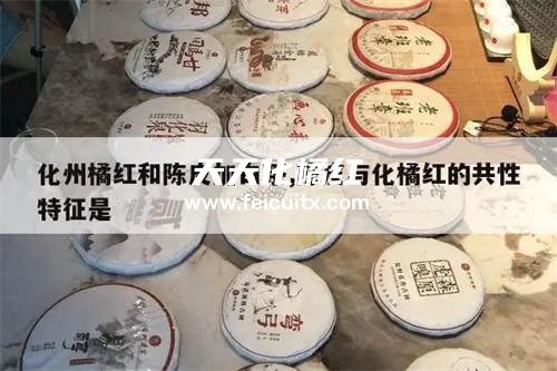 化橘红和白茶可以一起泡吗