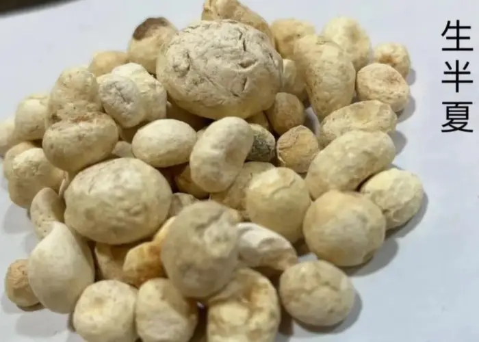 化橘红和半夏哪个化痰好  2