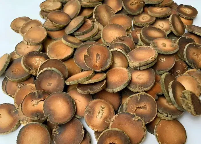 化橘红绒毛造假方法及鉴别要点  3